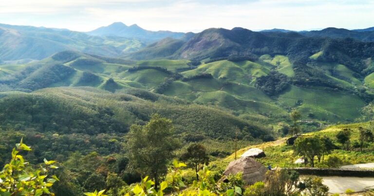 Munnar mountain view